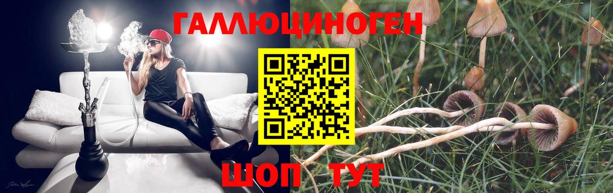 Псилоцибиновые грибы ЛСД  Галлюциногенные грибы ЛСД  Вход с VPN  Янаул 